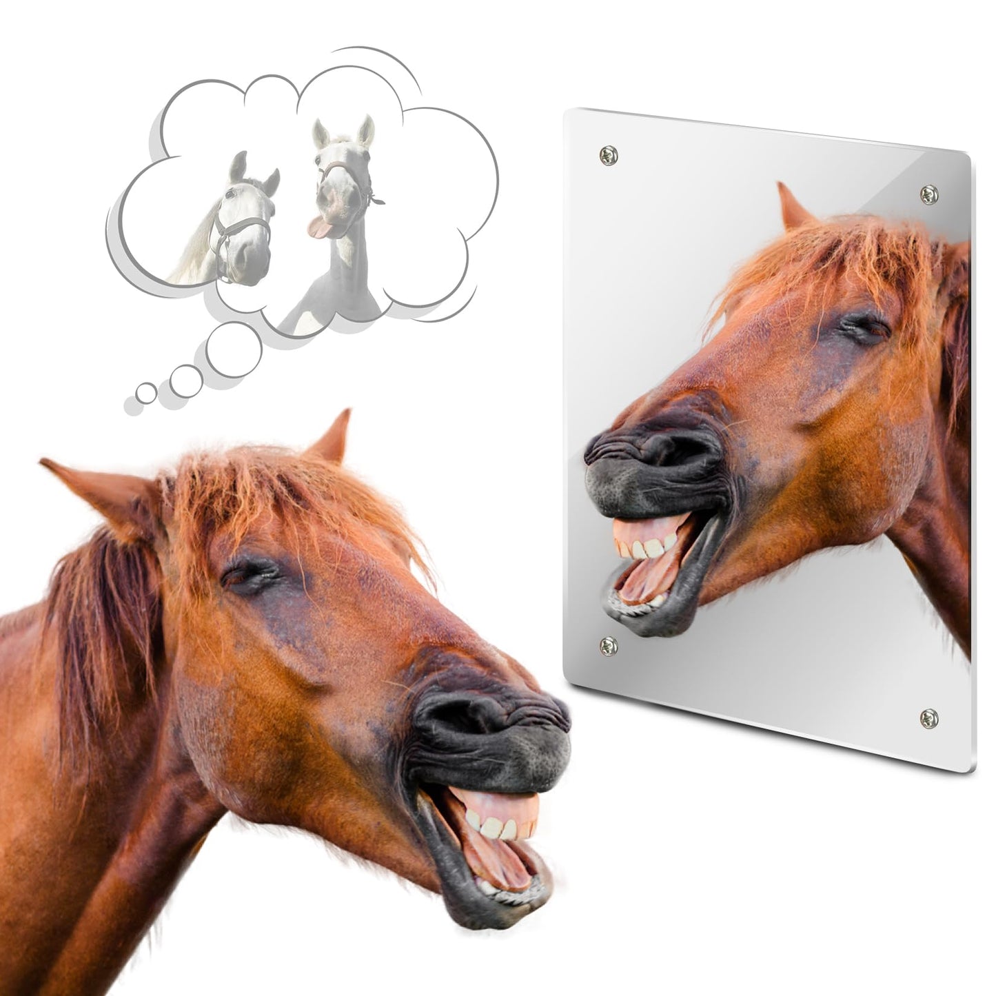 Sukh Shatterproof Horse Stall Mirror