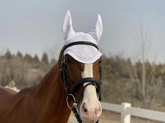 TGW RIDING Horse Fly Bonnet - White, Pony