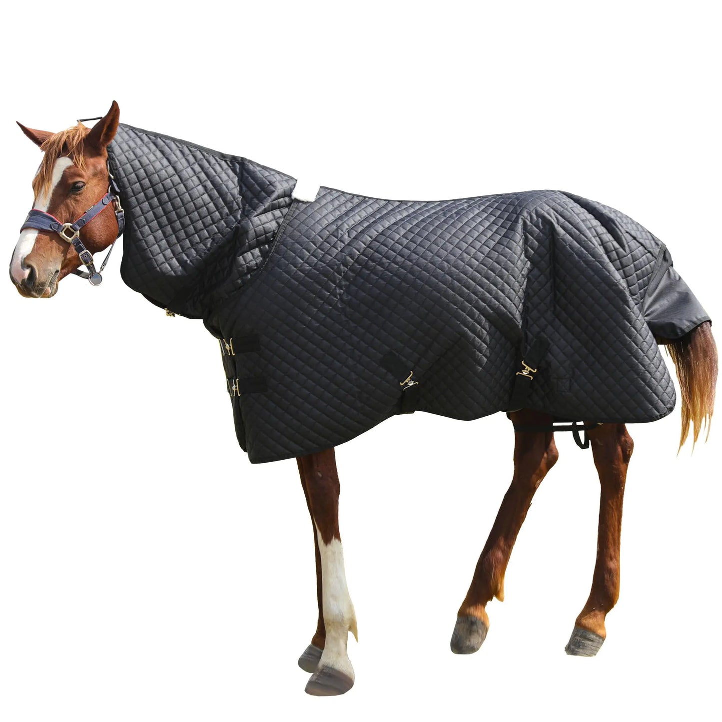 HOMBYS Combo Neck Winter Horse Blanket - 75 inch